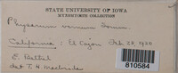 Image Associated With the Occurence